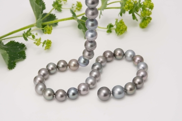Tahitiperlcollier Naturfarben grau,- multicolor Obertöne